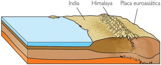Colisión entre : Placas continentales se produce una fuerte colisión entre placas continentales que tiene como consecuencia el plegamiento muy acusado de los sedimentos acumulados entre
