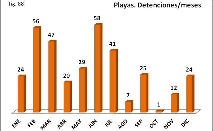 Figura 10.88 El número de detenciones en la provincia de Cádiz supone el 44 por ciento del total de las detenciones en las playas y el de las Islas Canarias el 24 por ciento, (Fig. 10.89).