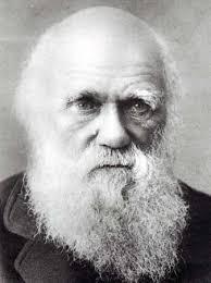Teoría evolutiva de Darwin Charles Robert Darwin (1809 1882) naturalista inglés.