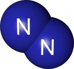 Nitrógeno ciclado a través de la biósfera La atmósfera contiene alrededor de 80% de N 2 gaseoso.