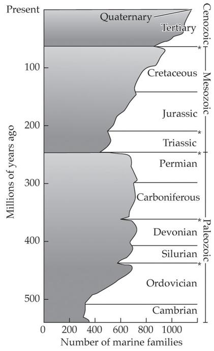 Extinciones Extinción de fondo ( background extinction ) vs Extinción en masa se pierden linajes S se