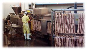 Prácticas de Manufactura y Procedimiento contaminación durante la transformación de la carne en embutidos. Para lavado y sanitizado de Áreas y Equipos en general.