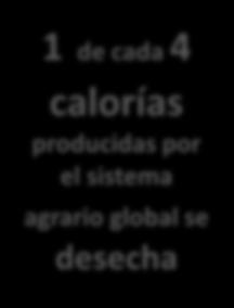 1 de cada 4 calorías