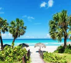 16*, 30* junio; 14*, 28*, 11* julio; 11*, 1, 15, 29 diciembre 2018 Miami - Key West (Florida) - navegación - Costa Maya (México) - Cozumel (México) - George Town (Gran Caimán) - navegación - Miami 1.