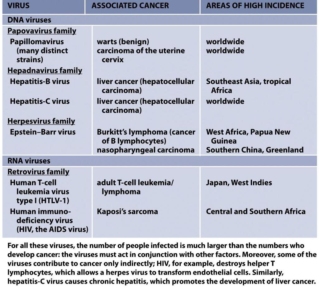 Virus asociados con cánceres humanos Table 20-1