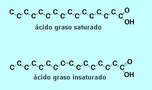 C12: Laúrico C14: Mirístico C16: Palmítico C18: Esteárico C18,1: Oléico C18,2: Linóleico C18,3: Linolénico Usos: En general:
