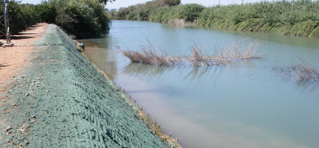 crecida del río Júcar provocó el desprendimiento y socavación en un tramo de su margen derecha, en el término municipal de Riola.