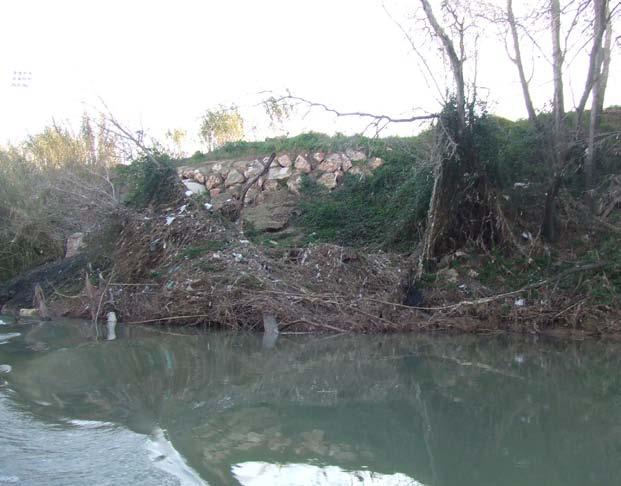 El río Júcar presentaba de manera casi continua zonas afectadas por la crecida del río, a su paso por los