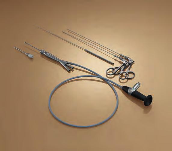Solución 2: El artroscopio ALL-IN-ONE para la articulación temporomandibular El artroscopio para la articulación temporomandibular all-in-one tiene un diámetro exterior de 2,2 mm y un canal de