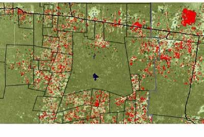 Imagen satelital de 20 de Noviembre y deforestación en ejidos vecinos. procesada.