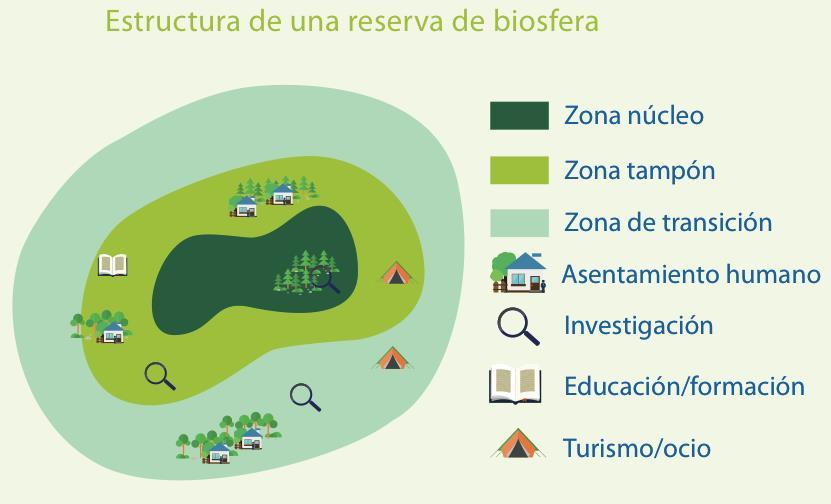 Reservas de biosfera: Tres zonas, tres funciones Compuestas de tres zonas interrelacionadas que cumplen tres funciones complementarias y que se refuerzan mutuamente: Zona núcleo: protegida