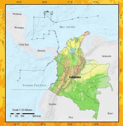 CONTEXTO ECOSISTEMAS DE BOSQUE EN COLOMBIA Superficie con ecosistemas Ecos. Bosque natural: 60,7 millones ha Ecos. Vegetación secundaria: 7,9 millones ha Ecos.