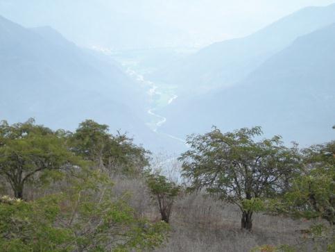 Asimismo incluye importante área en las márgenes de los ríos de Nanchoc y parte baja del rio Jequetepeque, así como del rio Chotano entre los distritos de Chota y Lajas.