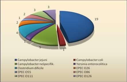 Graf: Prehľad pôvodcov iných bakteriálnych črevných infekcií v okrese Gelnica: 2015
