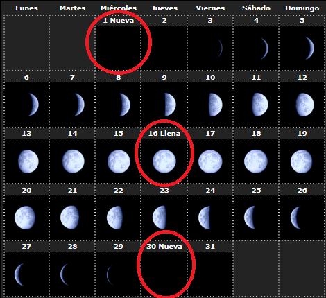 FENOMENOS CELESTES MES DE ENERO 2014 En Enero de 2014, vamos a tener dos lunas nuevas, el 1 y el 30, además de una lluvia de meteoros Las Cuadrántidas TuTiempo.