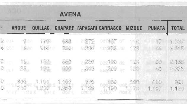 575 AVENA AYOPAYA ARANI ARQUE QUILLAC. CHAPARE TAPACARI CARRASCO MIZQUE PUNATA TOTAL Producción 1989/90 Tm.