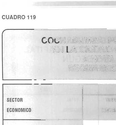 CAPITULO VII Sectores Sociales / Empleo CUADRO 119