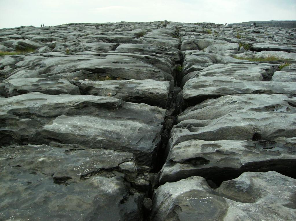 IBERIA CALIZA LAPIAZ O LENAR Lenar o lapiaz: surge sobre superficies en las que la roca caliza no tiene ninguna cobertera edáfica ni vegetal.