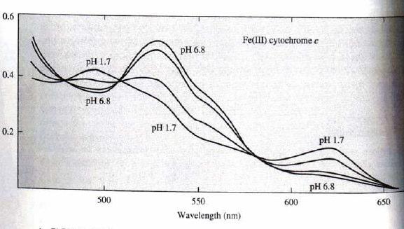 3.4.-Espectroscopía visibleultravioleta (VUV) (IV) Espectro