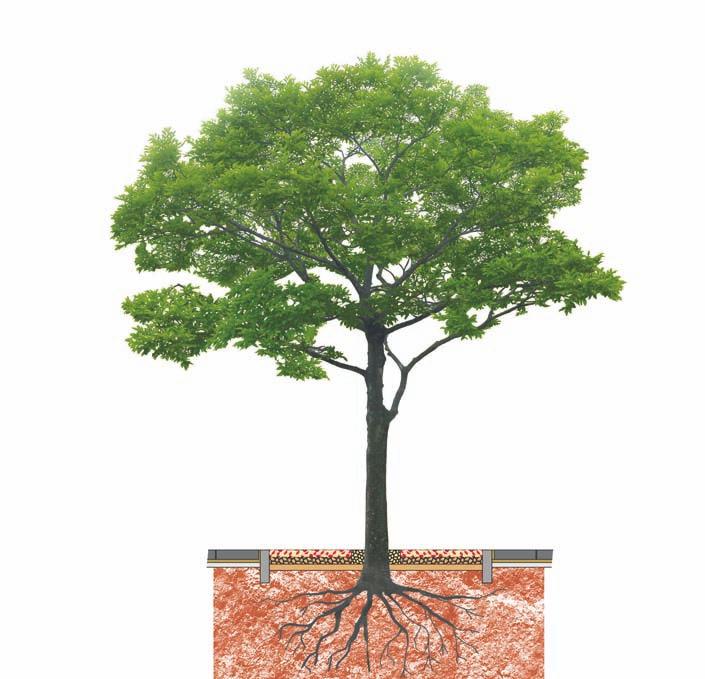 El sistema es la solución definitiva a todos los problemas que causan esos peligrosos huecos antihigiénicos que se encuentran en la base de los árboles.