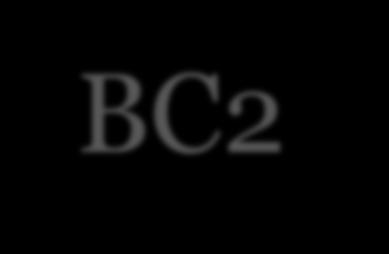 BC2 Impreso matrícula