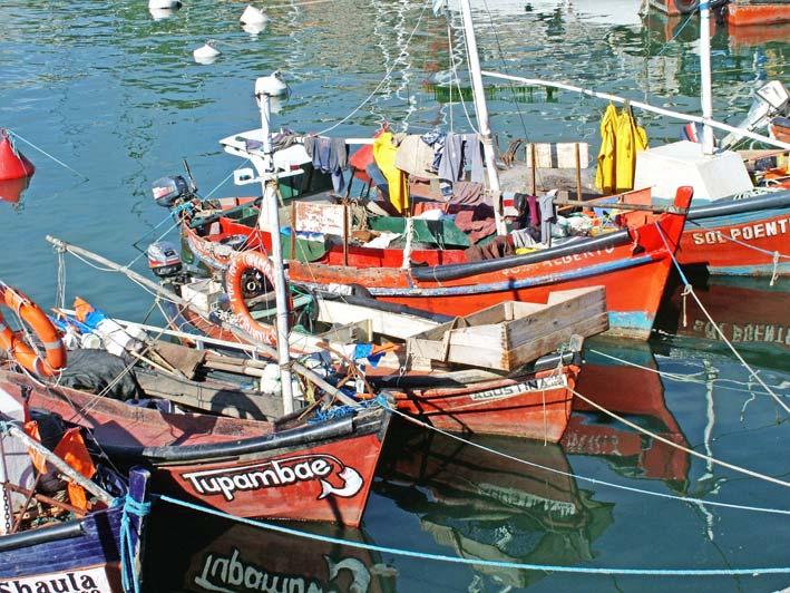 Pesca Artesanal 100% de los pescadores de pesca continental y 90% de los pescadores marinos costeros son