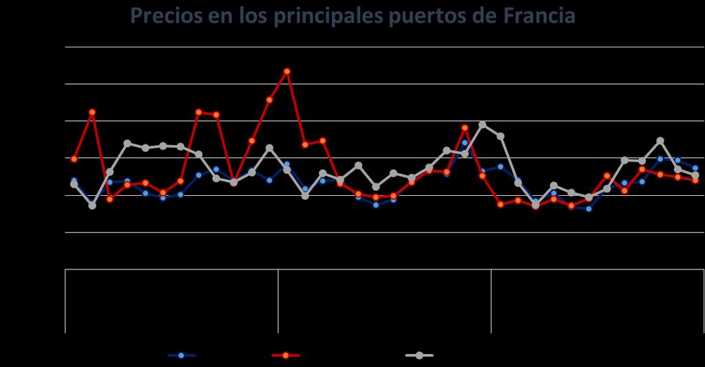 Enfoque de España: primeras ventas de merluza fresca (entera)