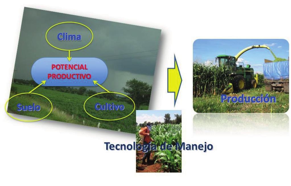 9). En esta relación los componentes ambientales y la planta generan el concepto de potencial productivo agrícola de INIFAP, el cual permite identificar las zonas donde el clima y suelo ofrece las