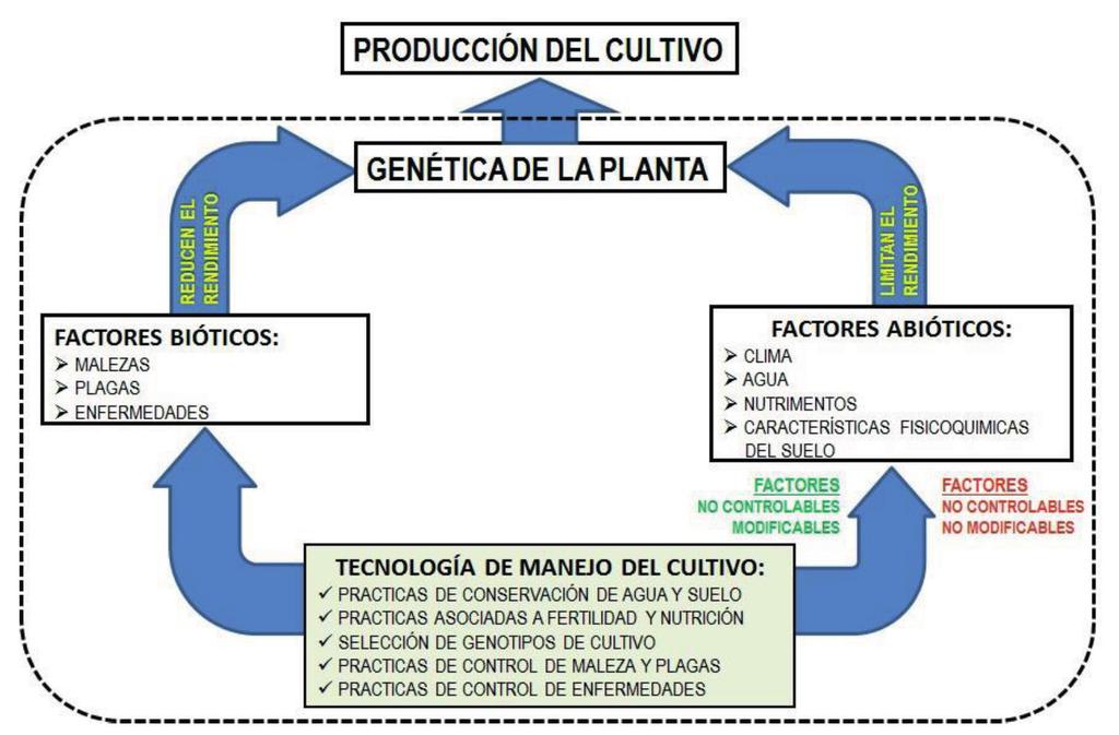 Figura 11. Interacción entre componentes de un sistema agrícola.