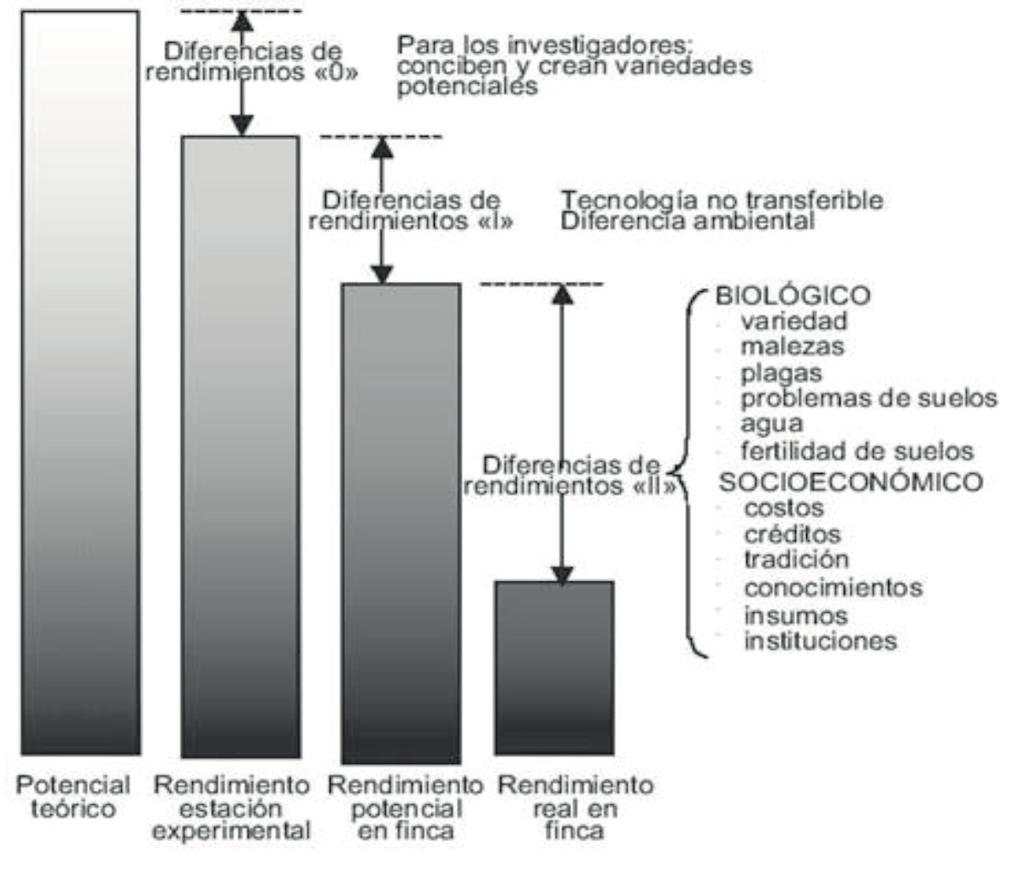 Figura 13. Brechas de rendimientos y factores que definen el rendimiento (Adaptado de Chaudhary et al., 2003).