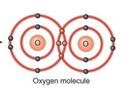 Enlace covalente doble: comparten dos pares de electrones Ej: molécula de oxígeno Fórmula molecular: O 2 Ej: molécula de dióxido de