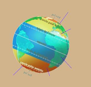 ACTIVITAT 4 En aquesta esfera terrestre indica les zones fredes, les zones temperades i la zona càlida.