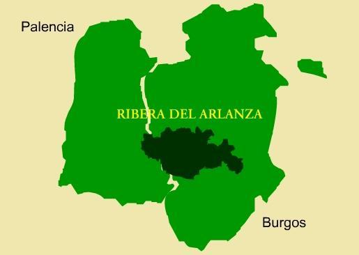Provincias de Burgos y Palencia. Valle del Duero. Vinos rosados y tintos. D.O.