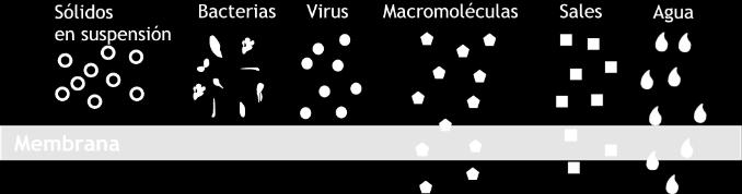 (incluyendo virus y bacterias), materia coloidal y en general especies de alto peso molecular.