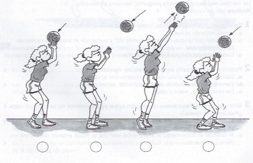 EDUCACIÓ ÍSICA ACTIITATS 1. Dibuixa el terreny de joc de voleibol. Assenyala les seues mesures, línies i posició dels jugadors. 2.