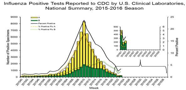En general, la positividad de influenza incrementó a 3,4% (de 2,5%) con predominio de influenza B (76% de todas las detecciones de influenza). Graph 3. Pneumonia and influenza mortality decreased (5.
