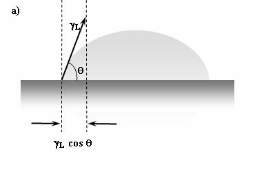 Figura VIII.7. Perfil de la gota para ángulos de contacto menores que 90ºa) sobre sólidos lisos; b) en superficies rugosas VIII.