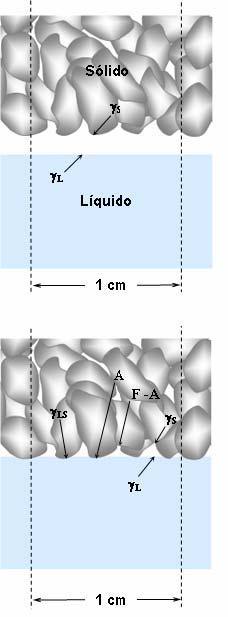Una vez que el contacto entre las dos fases se ha producido (resulta oportuno mencionar que no toda el área real del sólido A r está necesariamente involucrada), la superficie del líquido