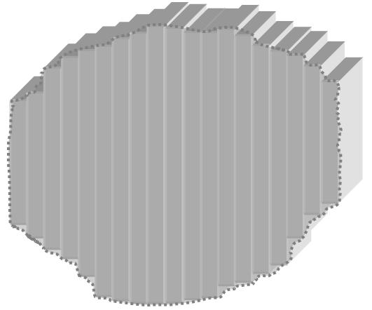 Área de propagación (lateral) Área de penetración (poro) Partícula de pigmento Área de adhesión (frente) Figura VIII.13.