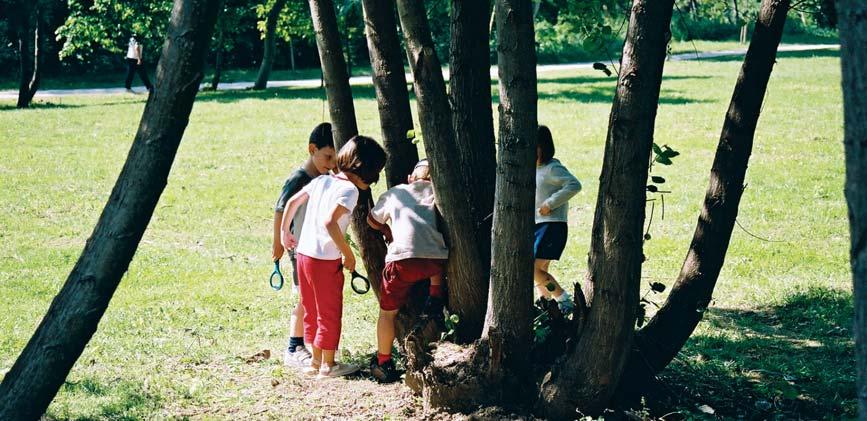 NOVEDADES CURSO 2006/2007 Nuevo programa escolar El Parque Fluvial de la Comarca: Un entorno para la Educación Ambiental Este curso se pone en marcha el nuevo programa escolar El Parque Fluvial de la