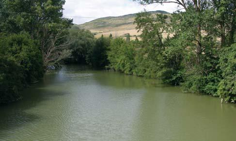 A partir de enero de 2007, la Mancomunidad de la Comarca de Pamplona asume la gestión del Parque Fluvial y, con este motivo, amplía su propuesta de Educación Ambiental para la Responsabilidad con