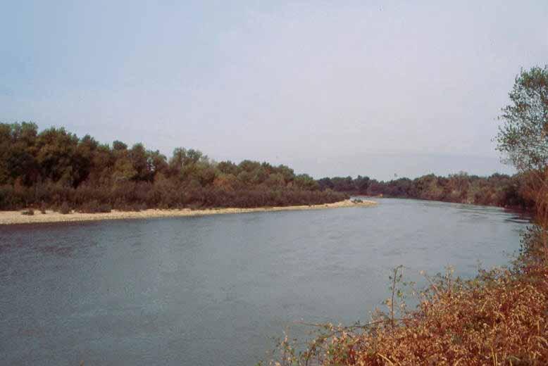 TRAMOS BAJOS de los ríos, aunque el caudal es alto, la escasa pendiente determina velocidades bajas y una