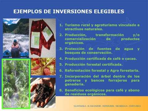 - Agricultura Sostenible Agroforesteria CAFÉ/Cacao Condiciones del Programa REFERENCIA No.