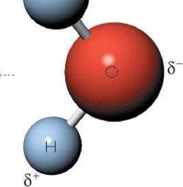 Molécula de agua: Está formada por dos átomos de H unidos a un átomo de O por enlaces covalentes.