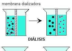 Diálisis: Se separan las partículas