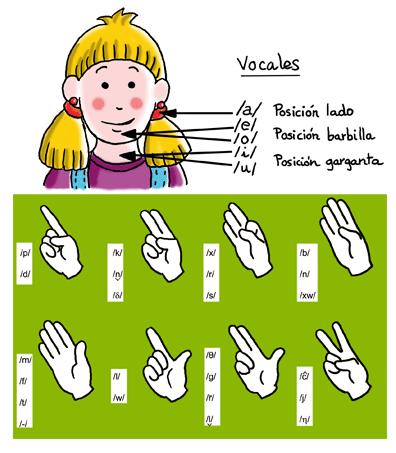 La posición de la mano que complementa el visema (expresión labial), es diferente, cuando tiene varias interpretaciones.