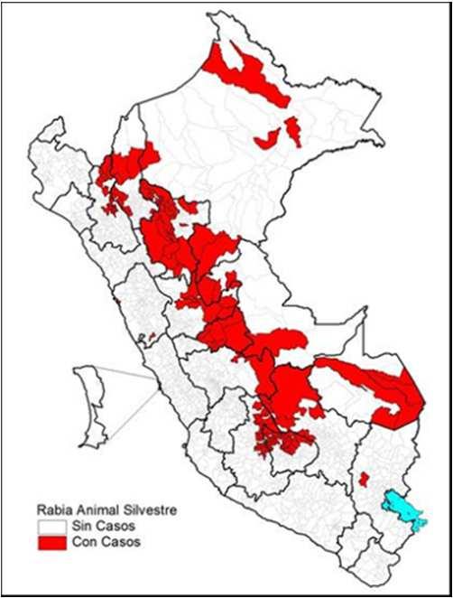 Rabia urbana y silvestre, Perú SE a la SE 36-2017 Casos de rabia canina Provincia de Arequipa Casos en la Provincia de Arequipa: En la SE 36, se notificó el caso N 36 en un can de 3.