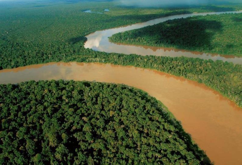 9 millones de hectáreas de bosque están dentro de áreas naturales