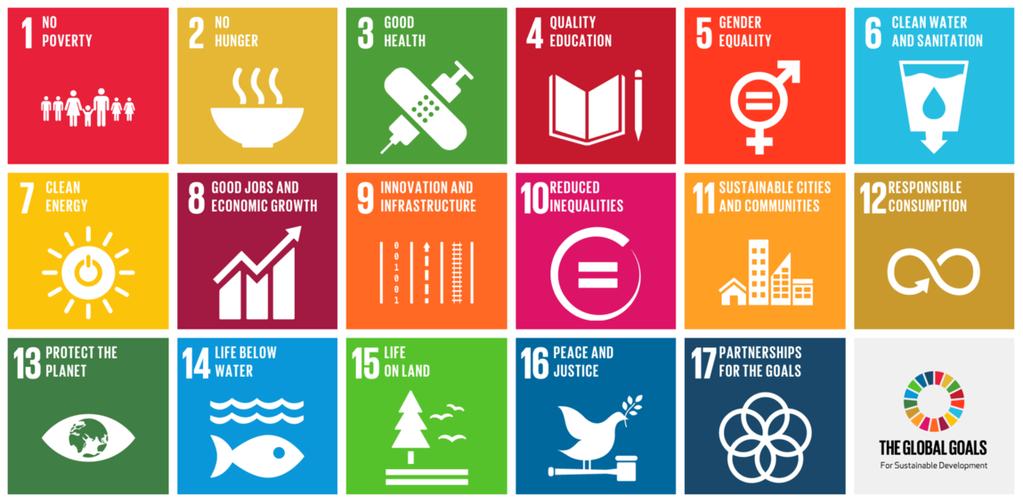 I - Los Objetivos de Desarrollo Sostenible (ODS) y la