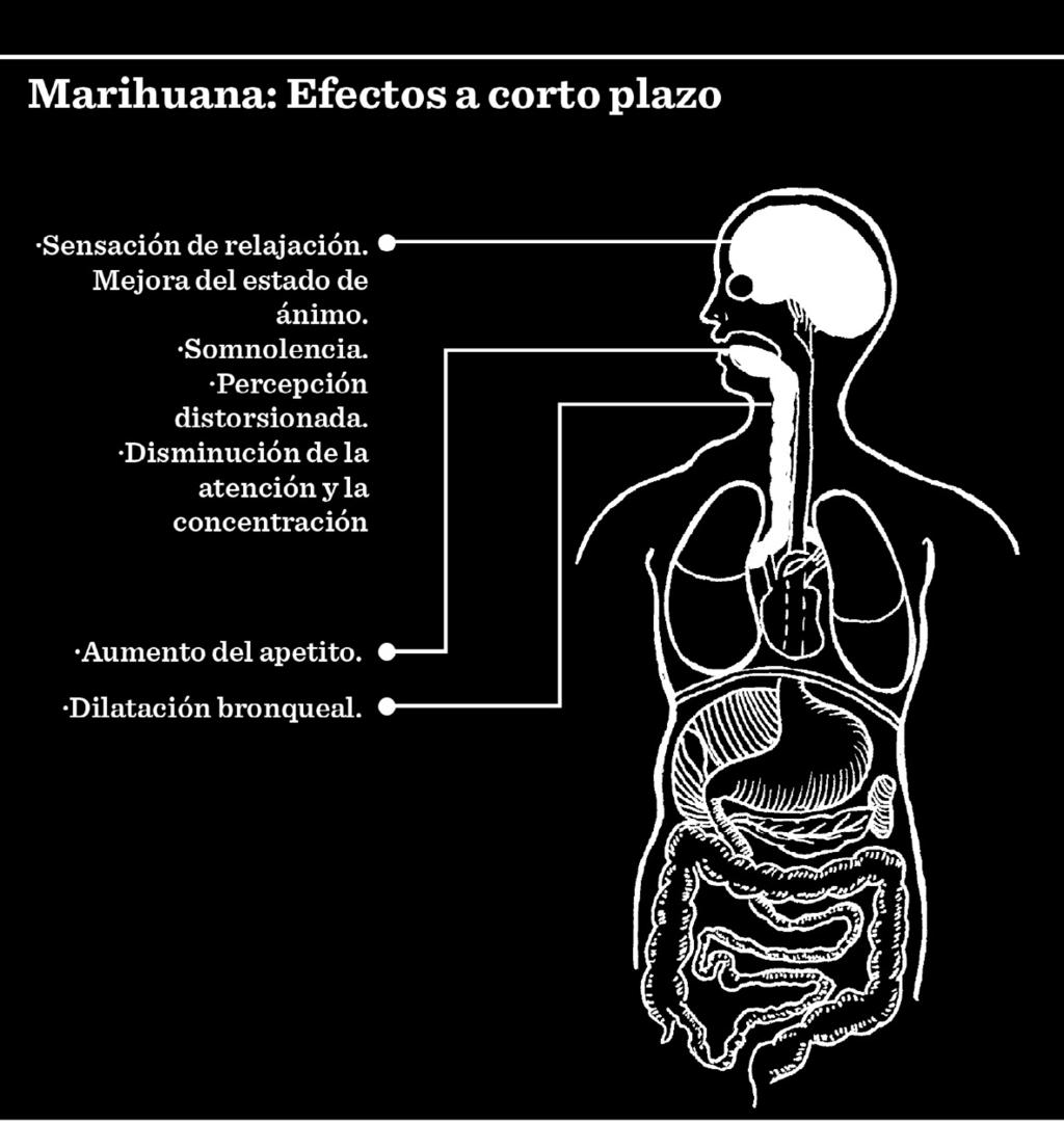 Marihuana: Efectos a
